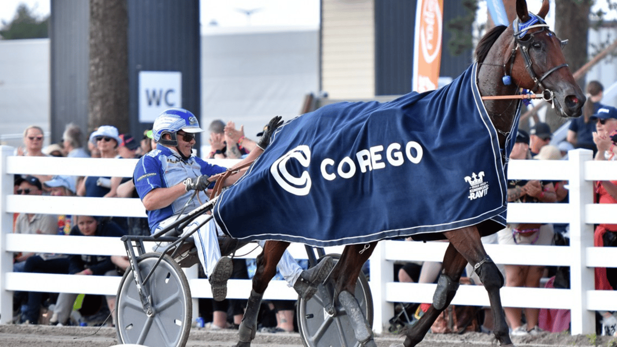 Kuninkuusravit 2025 – Celebrating the Finnish Horse with Smooth Technology in Oulu